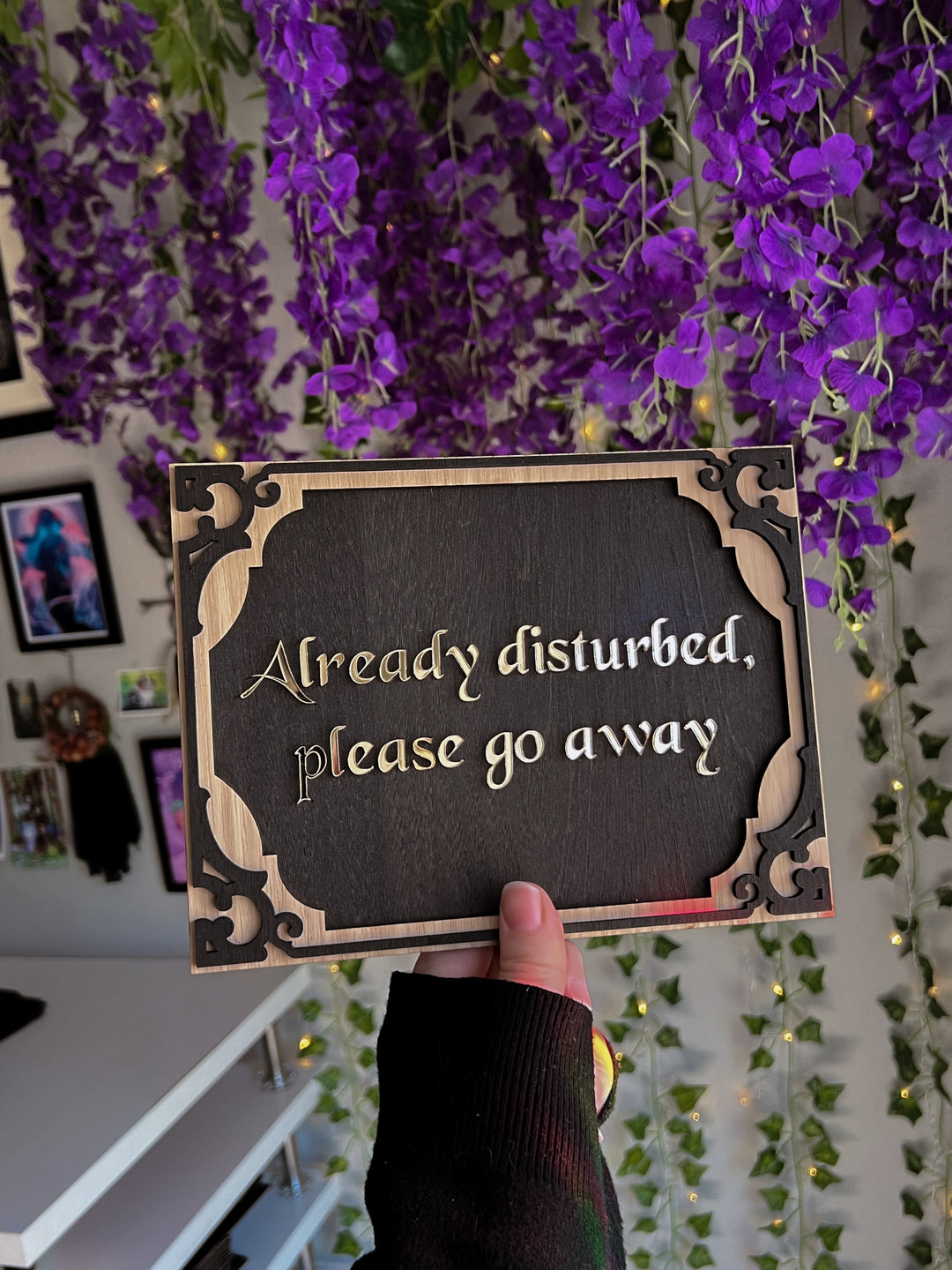 "Already Disturbed, Please Go Away" Wall Hanging PREORDER