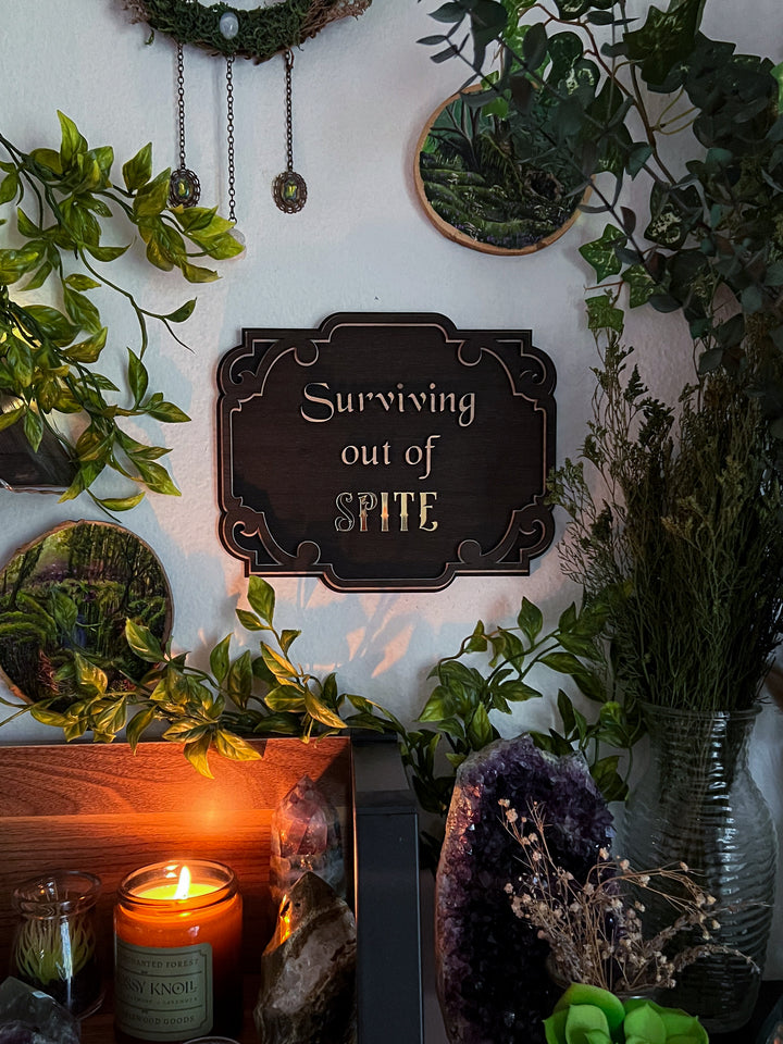 "Surviving Out of Spite" Wall Hanging PREORDER