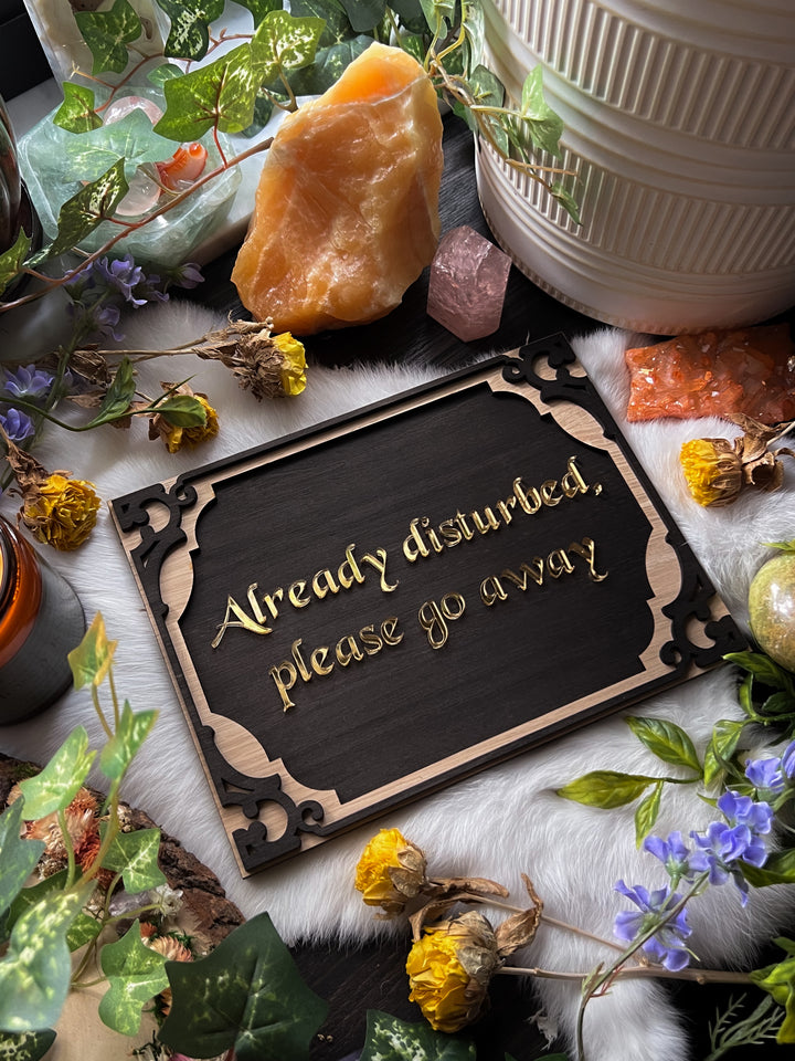 "Already Disturbed, Please Go Away" Wall Hanging PREORDER