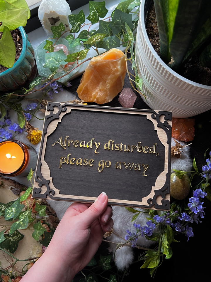 "Already Disturbed, Please Go Away" Wall Hanging PREORDER