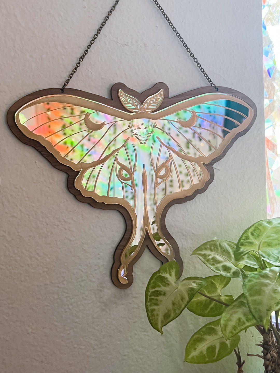 Gold Luna Moth Mirror PREORDER