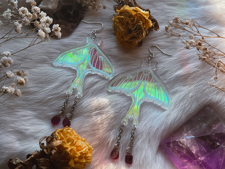 Iridescent Luna Moth Earrings